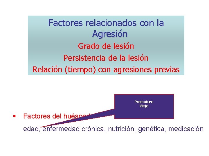 Factores relacionados con la Agresión Grado de lesión Persistencia de la lesión Relación (tiempo)