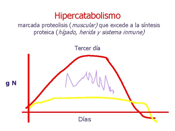 Hipercatabolismo marcada proteolisis (muscular) que excede a la síntesis proteica (hígado, herida y sistema