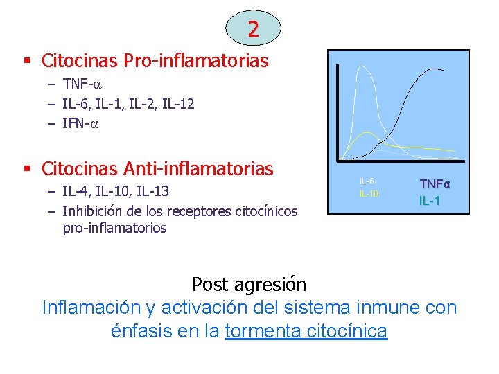 2 § Citocinas Pro-inflamatorias – TNF- – IL-6, IL-1, IL-2, IL-12 – IFN- §