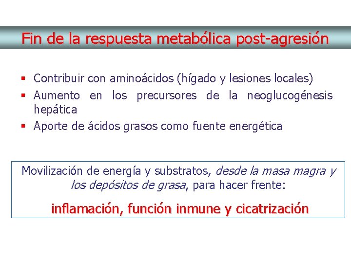 Fin de la respuesta metabólica post-agresión § Contribuir con aminoácidos (hígado y lesiones locales)