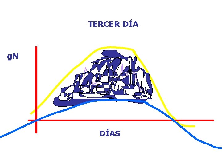 TERCER DÍA g. N DÍAS 