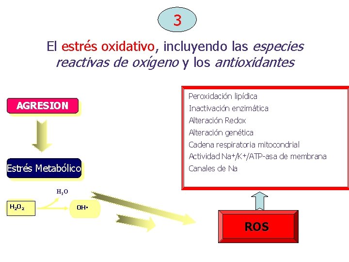 3 El estrés oxidativo, incluyendo las especies reactivas de oxígeno y los antioxidantes Peroxidación