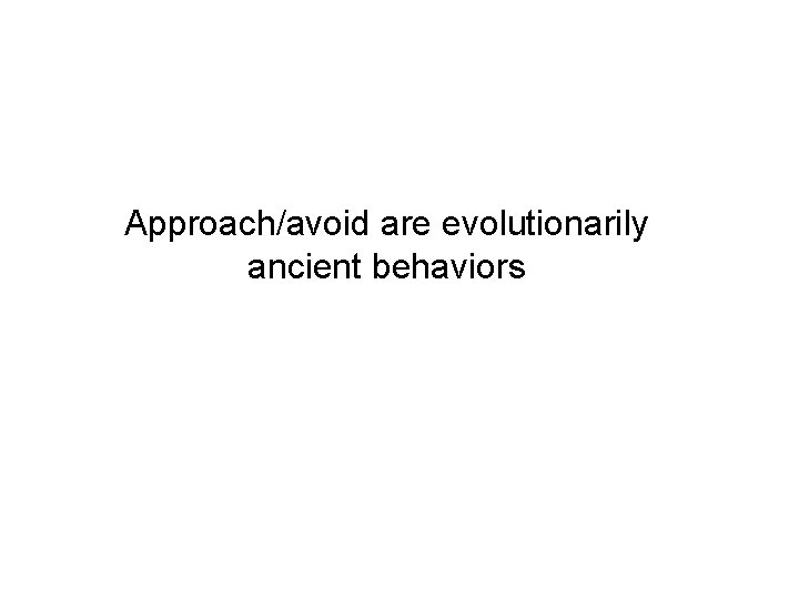 Approach/avoid are evolutionarily ancient behaviors 