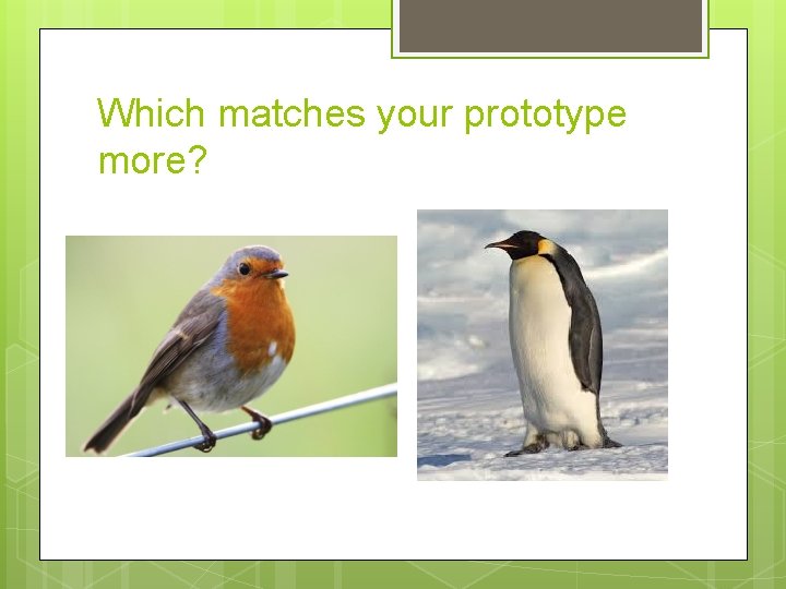 Which matches your prototype more? 