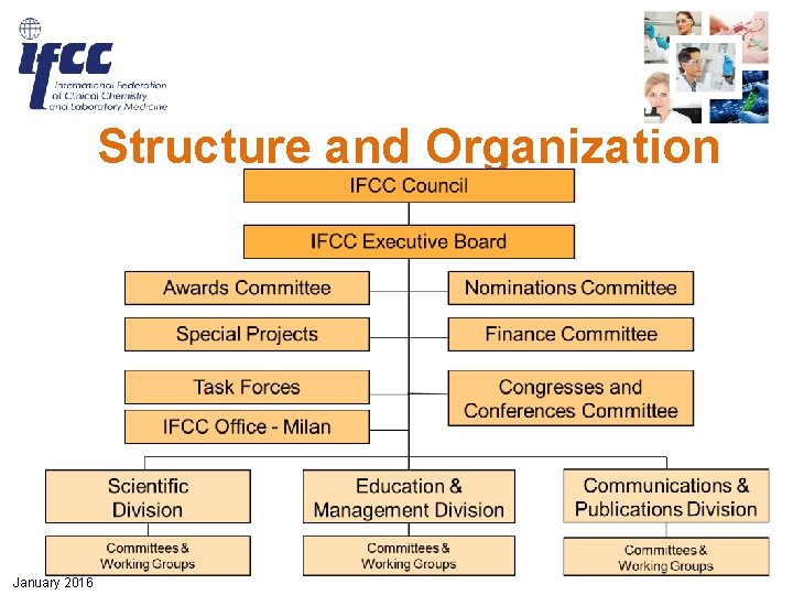 Structure and Organization January 2016 Structure and Organization January 2016