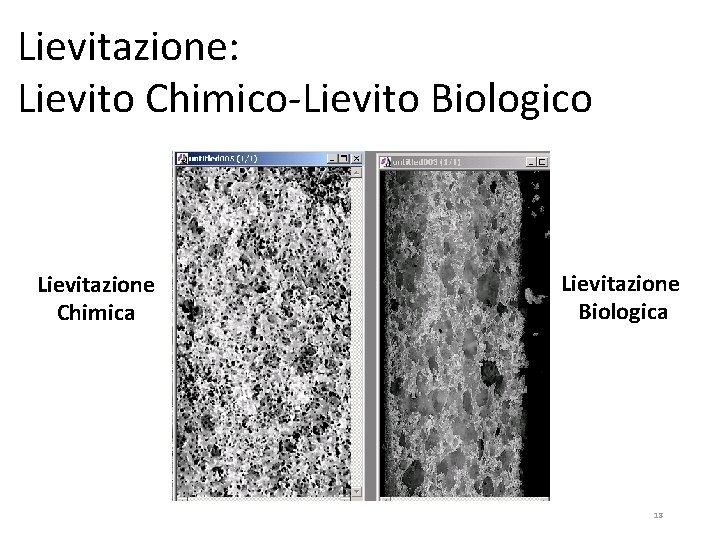 Lievitazione: Lievito Chimico-Lievito Biologico Lievitazione Chimica Lievitazione Biologica 18 