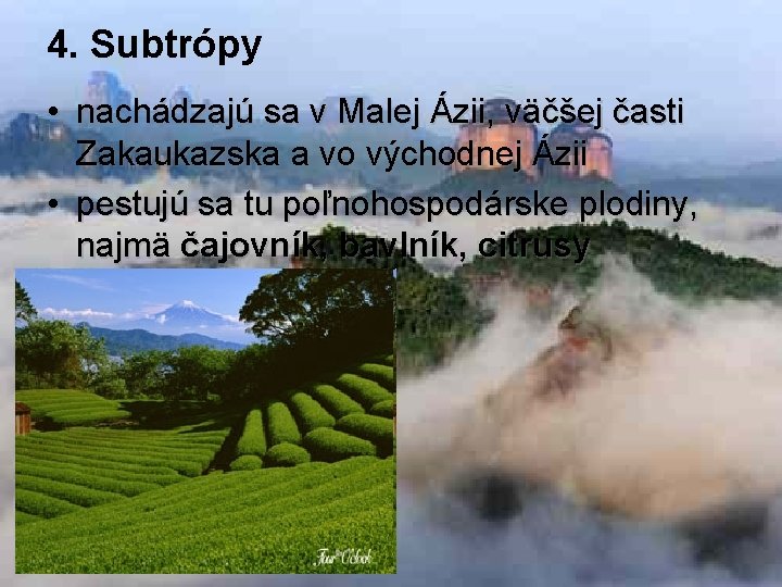 4. Subtrópy • nachádzajú sa v Malej Ázii, väčšej časti Zakaukazska a vo východnej