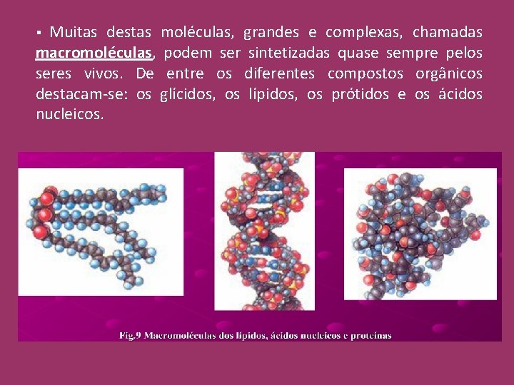 Muitas destas moléculas, grandes e complexas, chamadas macromoléculas, podem ser sintetizadas quase sempre pelos