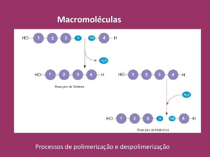 Macromoléculas Processos de polimerização e despolimerização 