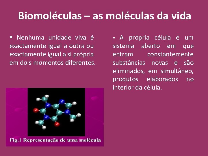 Biomoléculas – as moléculas da vida § Nenhuma unidade viva é exactamente igual a