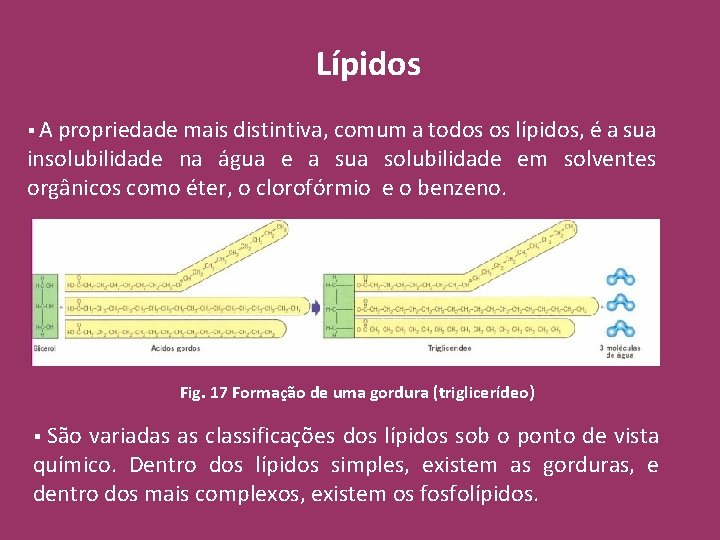 Lípidos § A propriedade mais distintiva, comum a todos os lípidos, é a sua