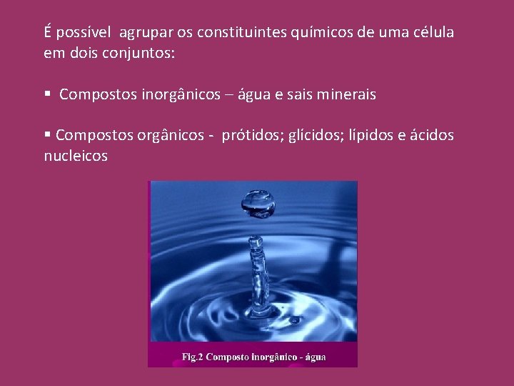 É possível agrupar os constituintes químicos de uma célula em dois conjuntos: § Compostos