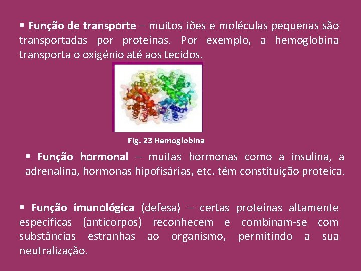 § Função de transporte – muitos iões e moléculas pequenas são transportadas por proteínas.