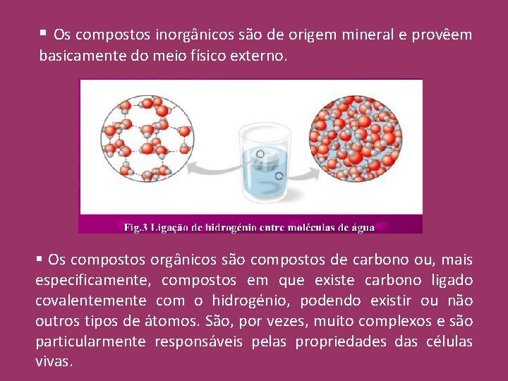 § Os compostos inorgânicos são de origem mineral e provêem basicamente do meio físico