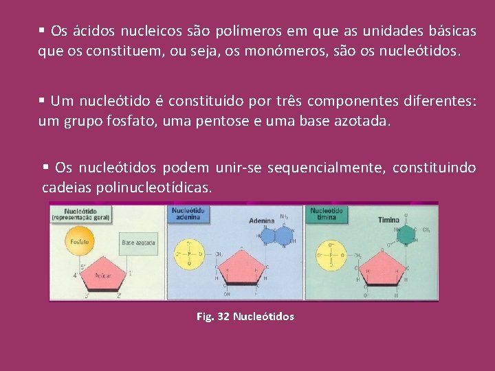 § Os ácidos nucleicos são polímeros em que as unidades básicas que os constituem,