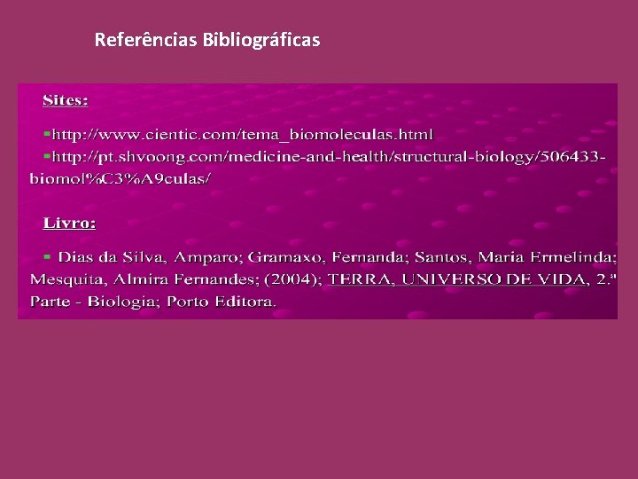 Referências Bibliográficas 