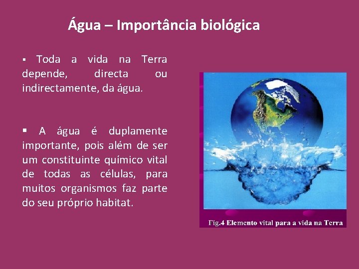 Água – Importância biológica Toda a vida na Terra depende, directa ou indirectamente, da