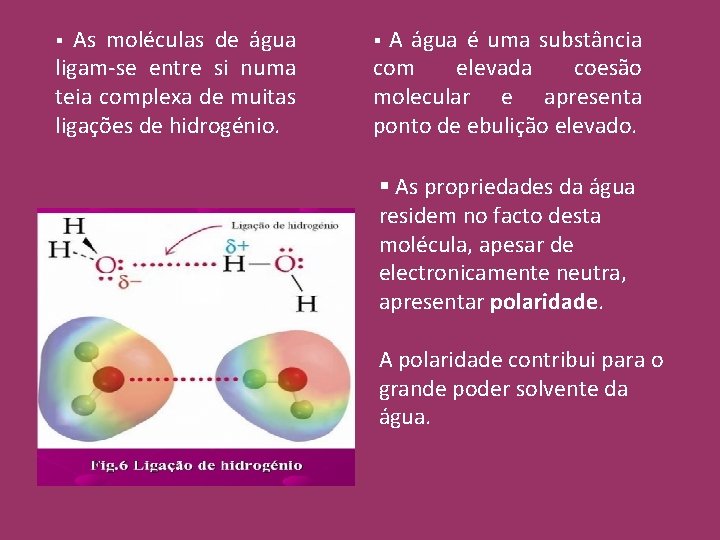 As moléculas de água ligam-se entre si numa teia complexa de muitas ligações de