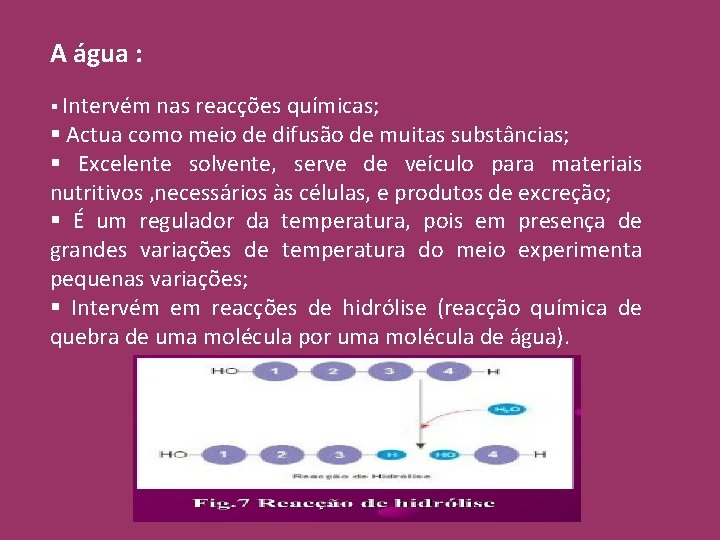 A água : § Intervém nas reacções químicas; § Actua como meio de difusão