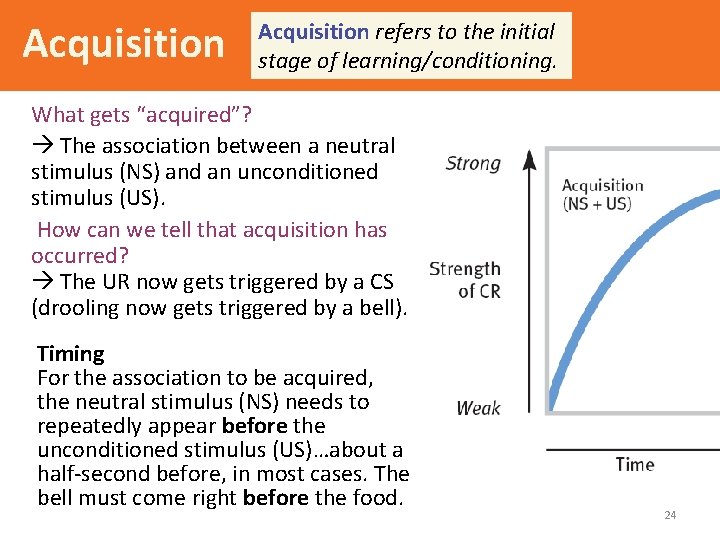 Acquisition refers to the initial stage of learning/conditioning. What gets “acquired”? The association between