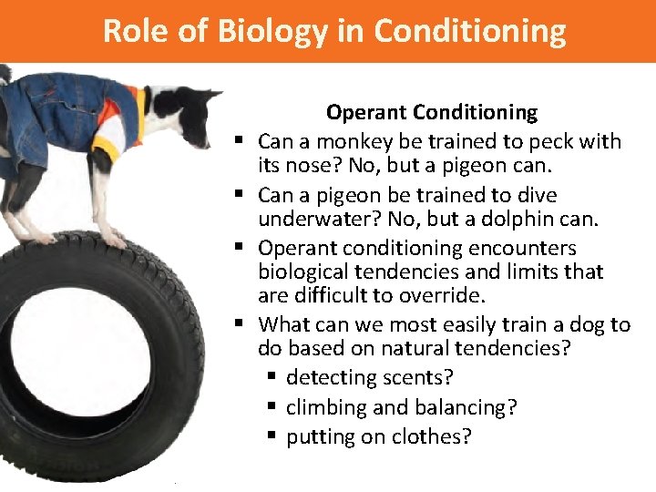 Role of Biology in Conditioning § § Operant Conditioning Can a monkey be trained