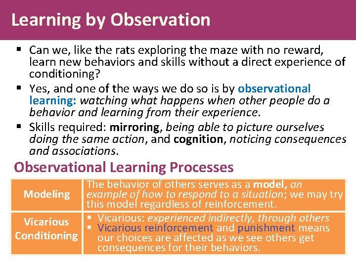Learning by Observation § Can we, like the rats exploring the maze with no