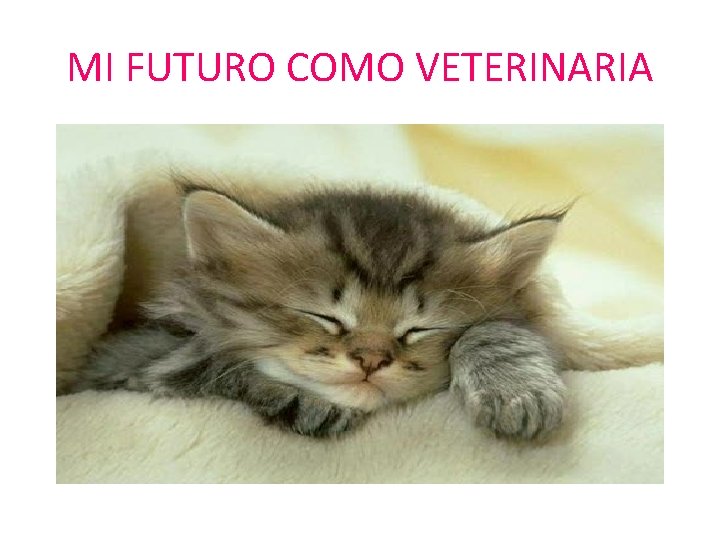 MI FUTURO COMO VETERINARIA 