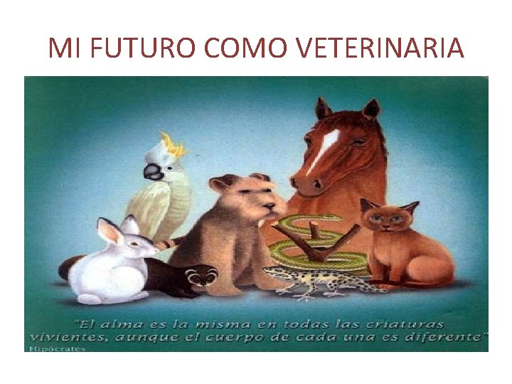 MI FUTURO COMO VETERINARIA 