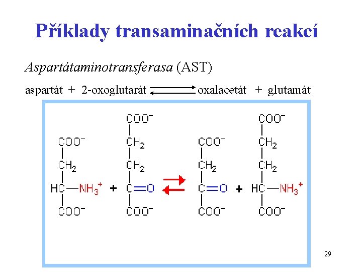 Příklady transaminačních reakcí Aspartátaminotransferasa (AST) aspartát + 2 -oxoglutarát oxalacetát + glutamát 29 