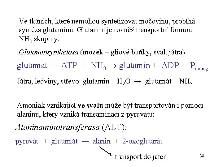 Ve tkáních, které nemohou syntetizovat močovinu, probíhá syntéza glutaminu. Glutamin je rovněž transportní formou