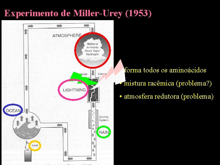 Experimento de Miller-Urey (1953) • forma todos os aminoácidos • mistura racêmica (problema? )