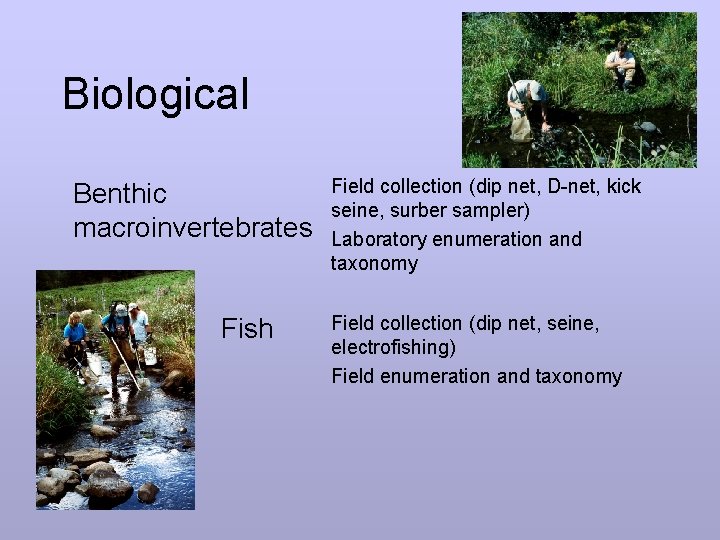 Biological Benthic macroinvertebrates Field collection (dip net, D-net, kick seine, surber sampler) Laboratory enumeration