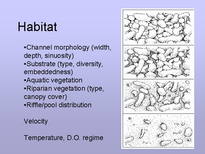 Habitat • Channel morphology (width, depth, sinuosity) • Substrate (type, diversity, embeddedness) • Aquatic