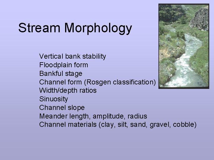 Stream Morphology Vertical bank stability Floodplain form Bankful stage Channel form (Rosgen classification) Width/depth