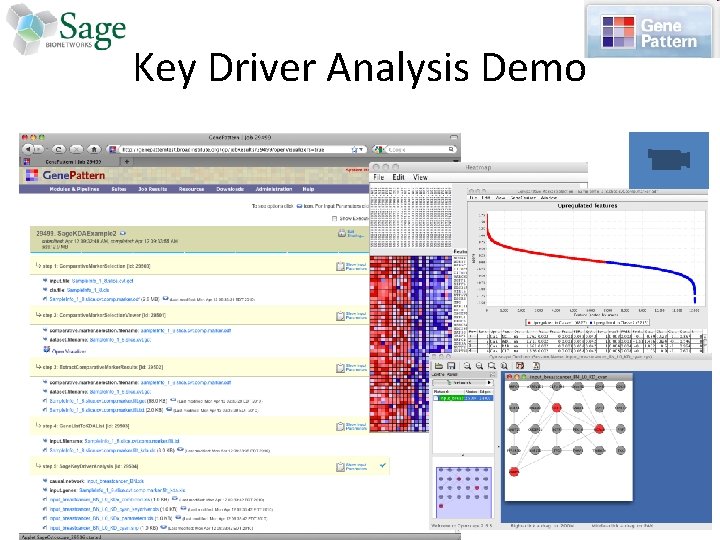 Key Driver Analysis Demo 