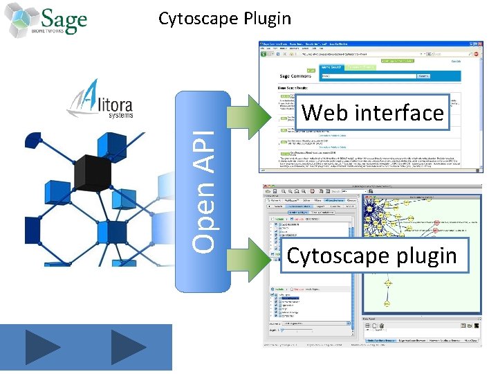 Cytoscape Plugin Open API Web interface Cytoscape plugin 