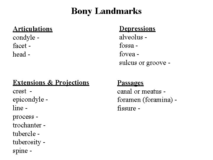 Bony Landmarks Articulations condyle facet head - Extensions & Projections crest epicondyle line process