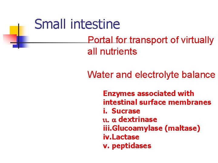Small intestine Portal for transport of virtually all nutrients Water and electrolyte balance Enzymes