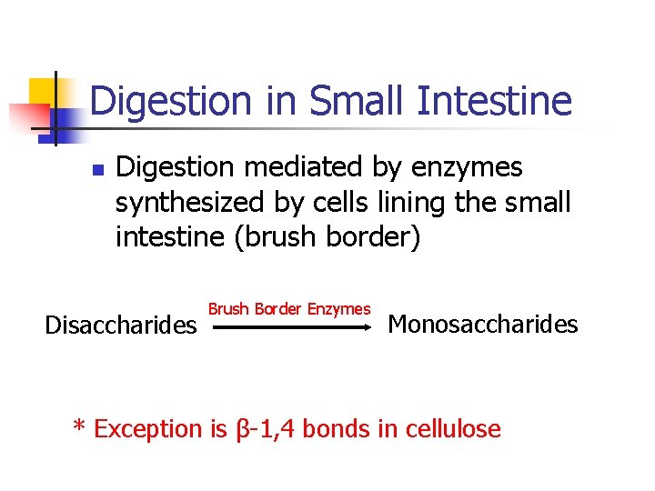 Digestion in Small Intestine n Digestion mediated by enzymes synthesized by cells lining the