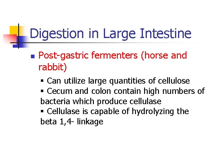 Digestion in Large Intestine n Post-gastric fermenters (horse and rabbit) § Can utilize large