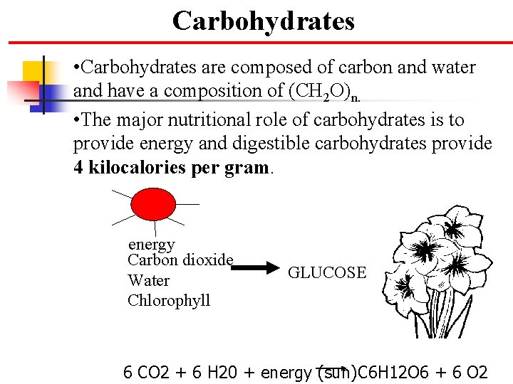 Carbohydrates • Carbohydrates are composed of carbon and water and have a composition of