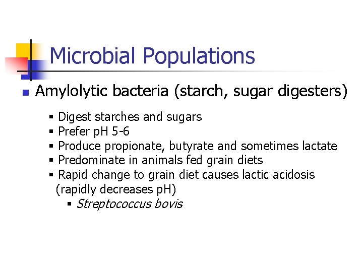 Microbial Populations n Amylolytic bacteria (starch, sugar digesters) § § § Digest starches and