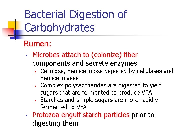 Bacterial Digestion of Carbohydrates Rumen: § Microbes attach to (colonize) fiber components and secrete