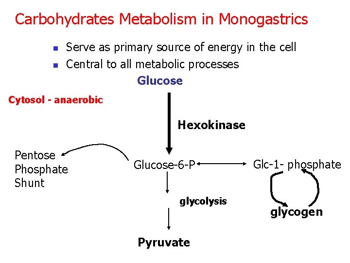 Carbohydrates Metabolism in Monogastrics n n Serve as primary source of energy in the
