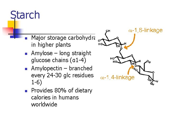 Starch n n Major storage carbohydrate in higher plants Amylose – long straight glucose