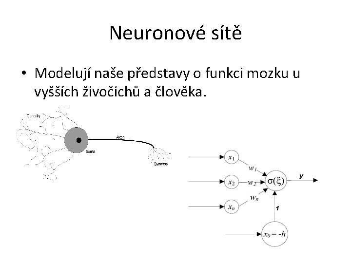 Neuronové sítě • Modelují naše představy o funkci mozku u vyšších živočichů a člověka.