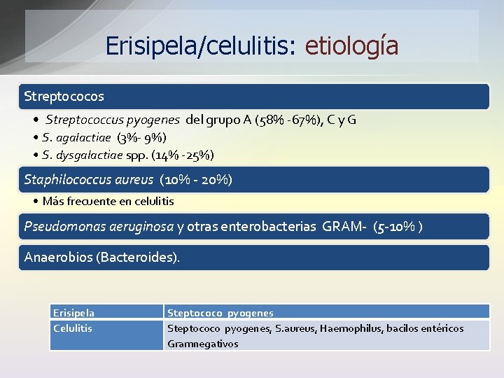 Erisipela/celulitis: etiología Streptococos • Streptococcus pyogenes del grupo A (58% -67%), C y G