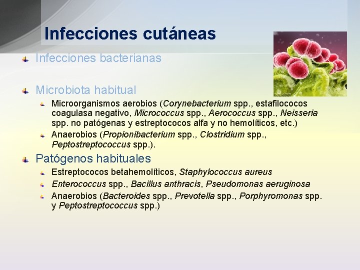 Infecciones cutáneas Infecciones bacterianas Microbiota habitual Microorganismos aerobios (Corynebacterium spp. , estafilococos coagulasa negativo,