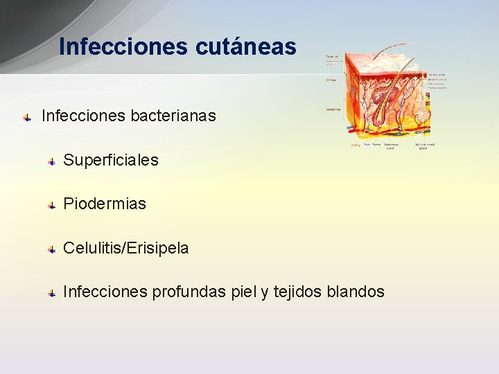 Infecciones cutáneas Infecciones bacterianas Superficiales Piodermias Celulitis/Erisipela Infecciones profundas piel y tejidos blandos 