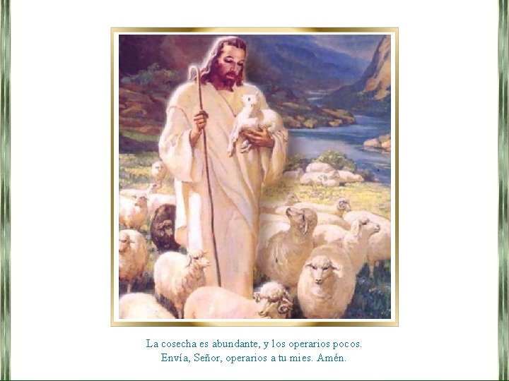 La cosecha es abundante, y los operarios pocos. Envía, Señor, operarios a tu mies.